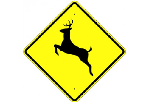 24" Deer Crossing